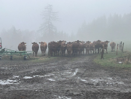 I přes nepříznivé počasí jsme si výlet užili